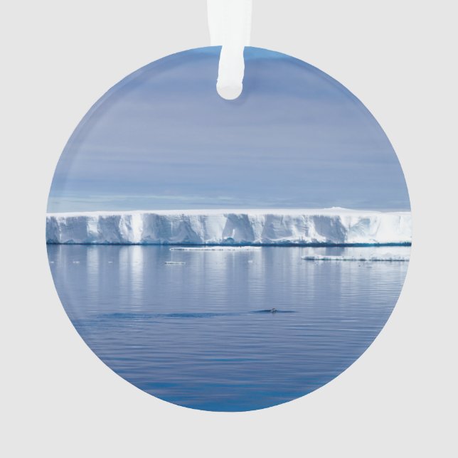 Floating iceberg ornament (Back)