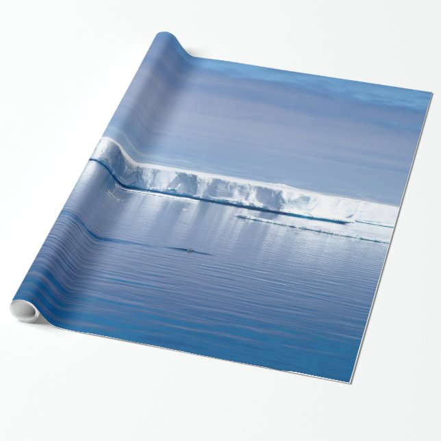 Floating iceberg wrapping paper (Unrolled)