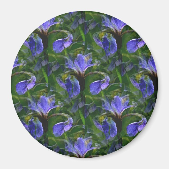 Floating Irises....... Magnet (Front)