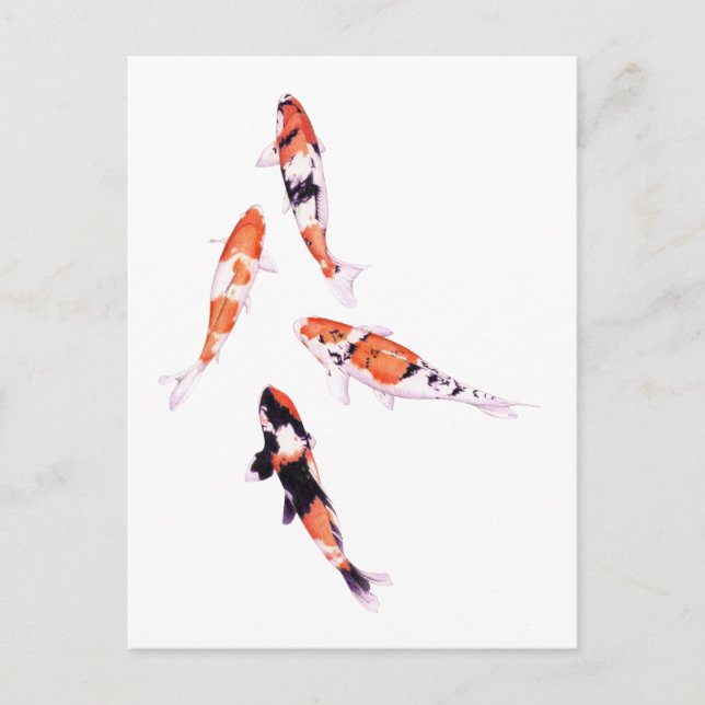 Floating Koi Postcard (Front)