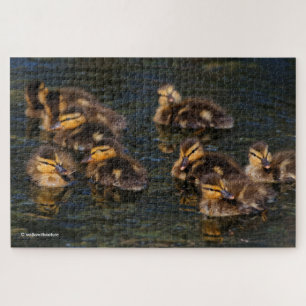 Floating Living Corks: 9 Cute Mallard Ducklings Ji Jigsaw Puzzle