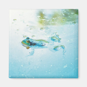 Floating Magnet