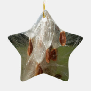 Floating Milkweed Seeds Art Print/Graphic Ceramic Ornament