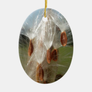 Floating Milkweed Seeds Art Print/Graphic Ceramic Ornament