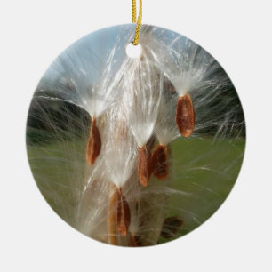 Floating Milkweed Seeds Art Print/Graphic Ceramic Ornament