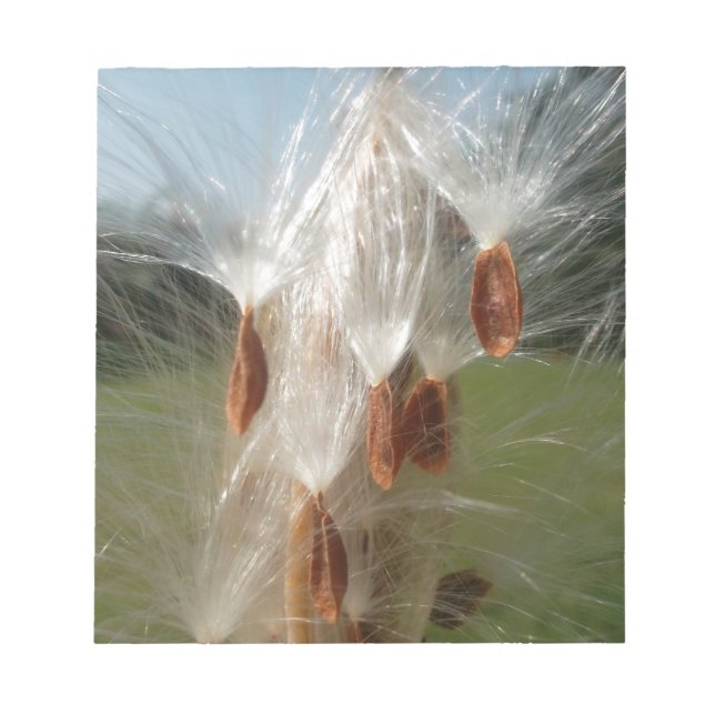 Floating Milkweed Seeds Art Print/Graphic Notepad (Front)