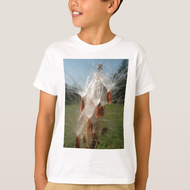 Floating Milkweed Seeds Art Print/Graphic T-Shirt (Front)