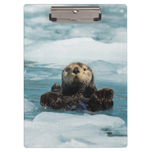 Floating Otter Clipboard