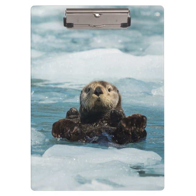 Floating Otter Clipboard (Front)