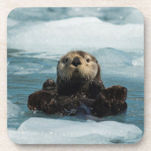 Floating Otter Coaster