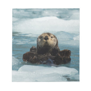 Floating Otter Notepad