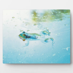 Floating Plaque