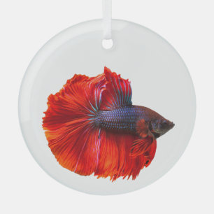 Floating Red Crown Tail Betta Fish Glass Ornament