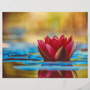 Floating Red Lotus Scrapbook Paper