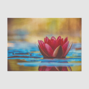 Floating Red Lotus Tissue  Paper
