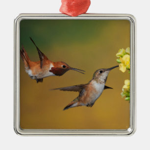 Floating Rufous Hummingbird Metal Ornament