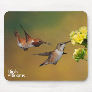 Floating Rufous Hummingbird Mouse Pad
