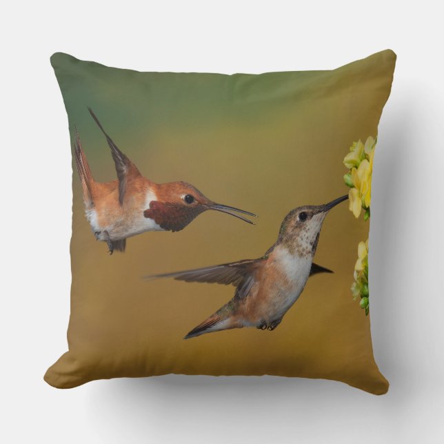 Floating Rufous Hummingbird Throw Pillow (Front)