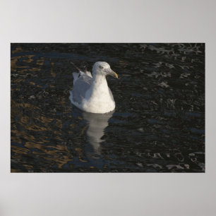 Floating Seagull Poster