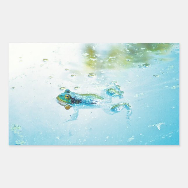 Floating Sticker (Front)