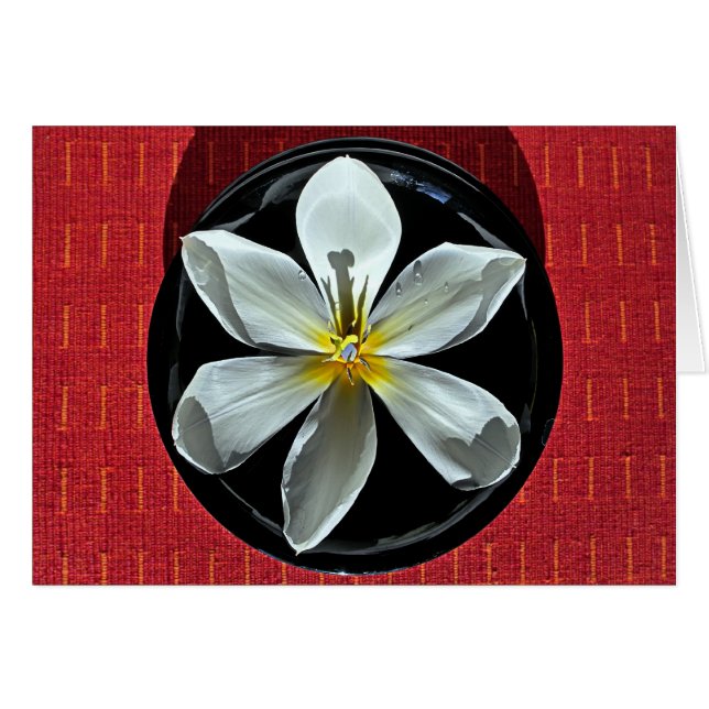 Floating Tulip (Front Horizontal)