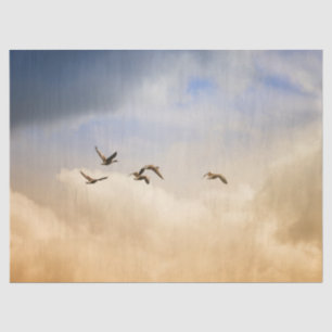 Flock of Birds in Flight Tissue Paper