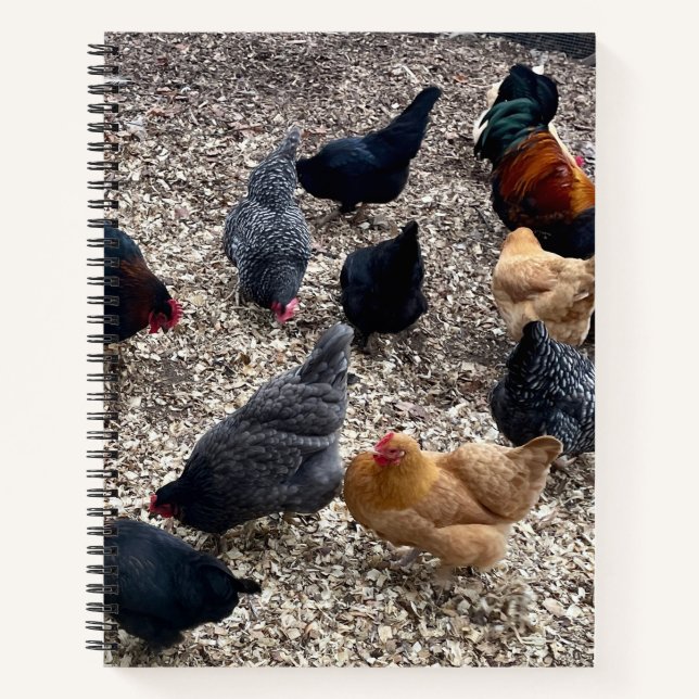 Flock of chickens notebook (Front)