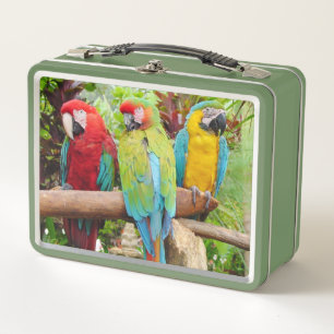 Flock of Colourful Macaw Parrots Metal Lunch Box