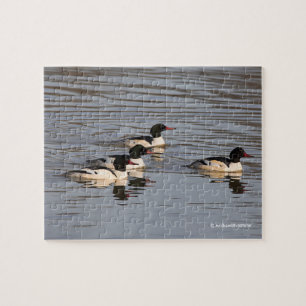 Flock of Common Merganser Ducks at the Slough Jigsaw Puzzle