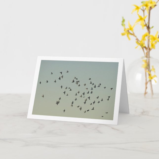 Flock of Doves Card (Yellow Flower)