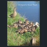 Flock of Ducks Magnet<br><div class="desc">This picture was taken because the ducks just sat off allowing me to walk past them. I never been so close to a flock of ducks to why I took a photo of them.</div>