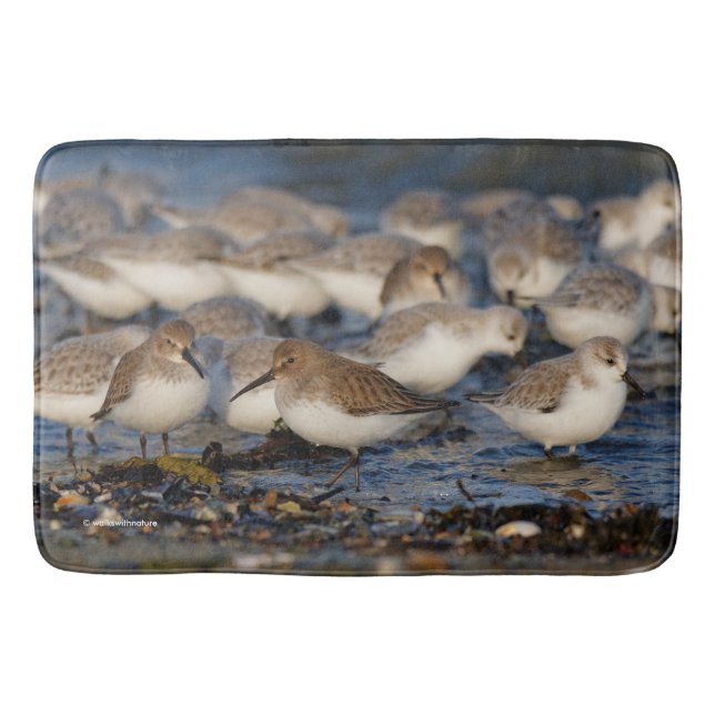 Flock of Dunlins and Sanderlings at the Beach Bath Mat (Front)