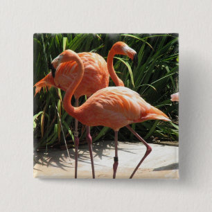 Flock of Flamingos Square Pin