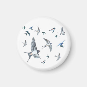 Flock Of Flying Swallow Birds Illustration Magnet