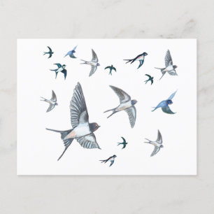 Flock Of Flying Swallow Birds Illustration Postcard