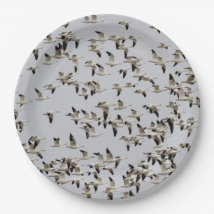 Flock of Geese in Flight Paper Plate