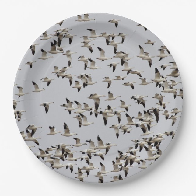 Flock of Geese in Flight Paper Plate (Front)
