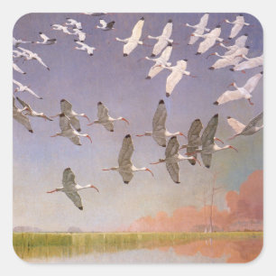 Flock of Ibis Flying Over Wetlands, Vintage Birds Square Sticker