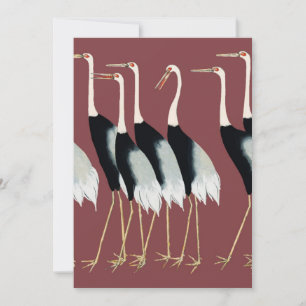Flock of Japanese red-crown crane Card