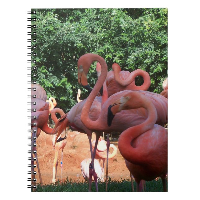 Flock Of Pink Flamingos Notebook (Front)