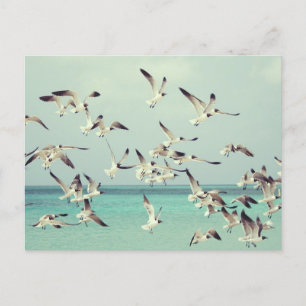 Flock of seagulls flying above the ocean. holiday postcard