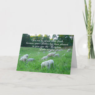 Flock of Sheep-Bible verse. Holiday Card
