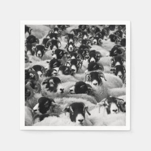 Flock of Sheep Black and White Napkin