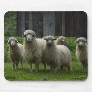 Flock of Sheep Farmland Mouse Pad