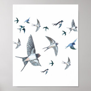 Flock of swallow birds flying Poster