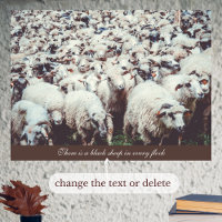 Flock of white & black sheep 