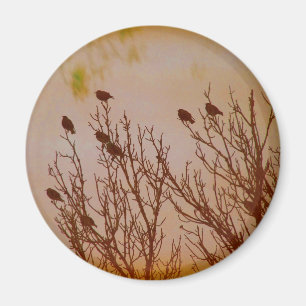 Flock Together Magnet