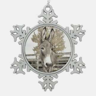Flocon De Neige Ornement d'âne