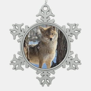 Flocon De Neige Ornement encadré Wild Paws Daphne Snowflake