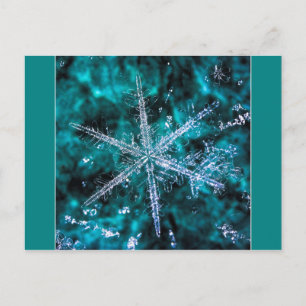 Flocon de neige sur carte postale photo verte